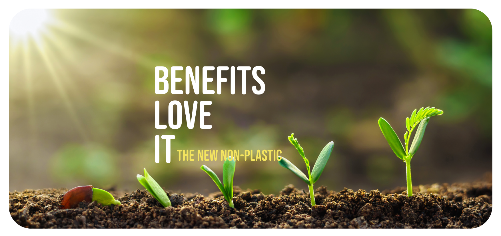 The Economic Benefits of Sustainability