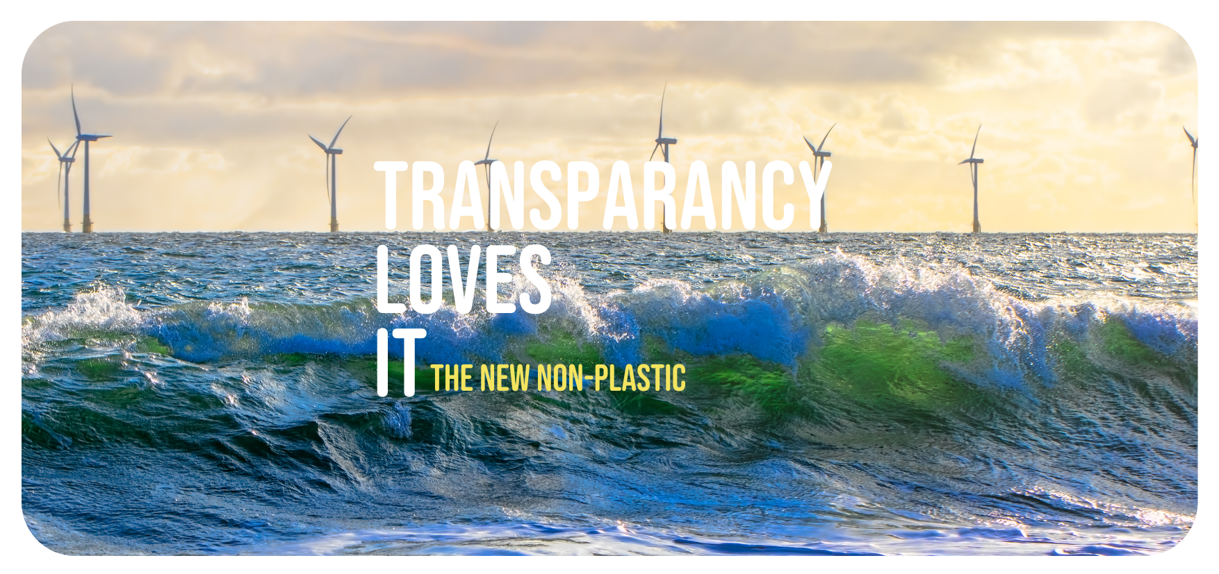 Transparency: A Cornerstone of Sustainability