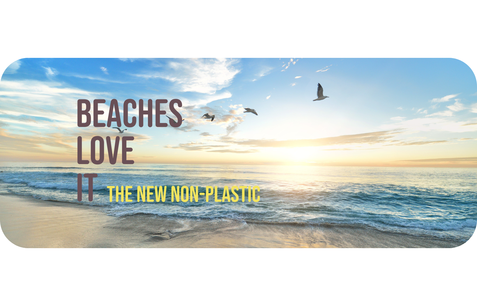 PLQ2 in Action: Real-World Success Stories and Sustainability Impact