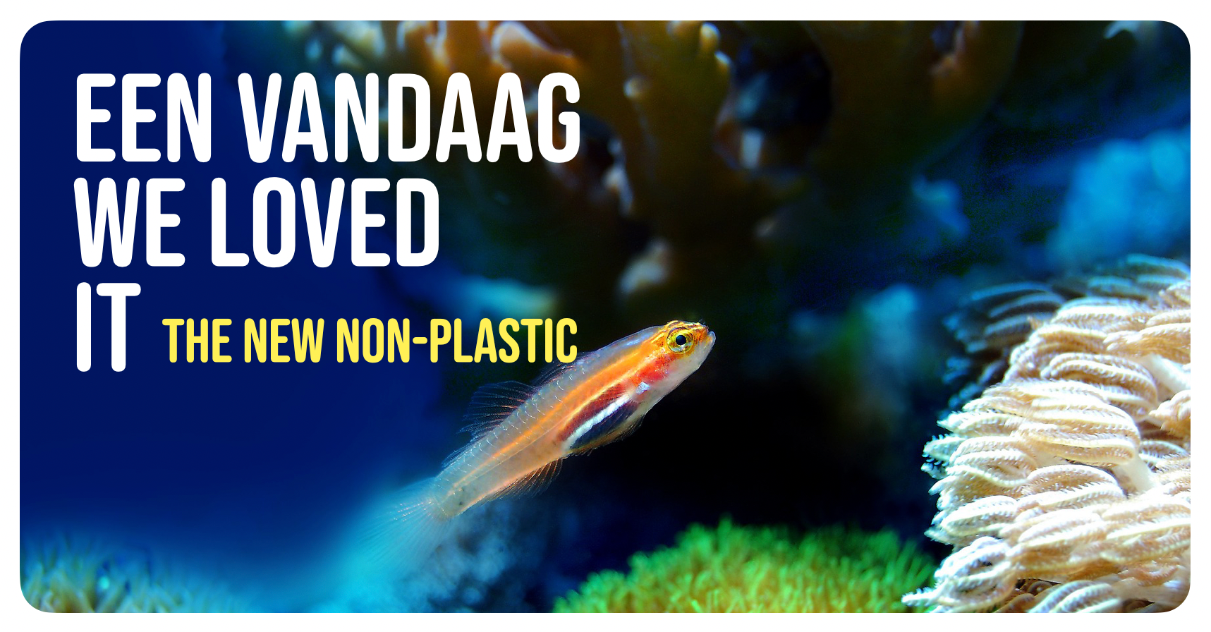 non plastic granulate, biodegradable