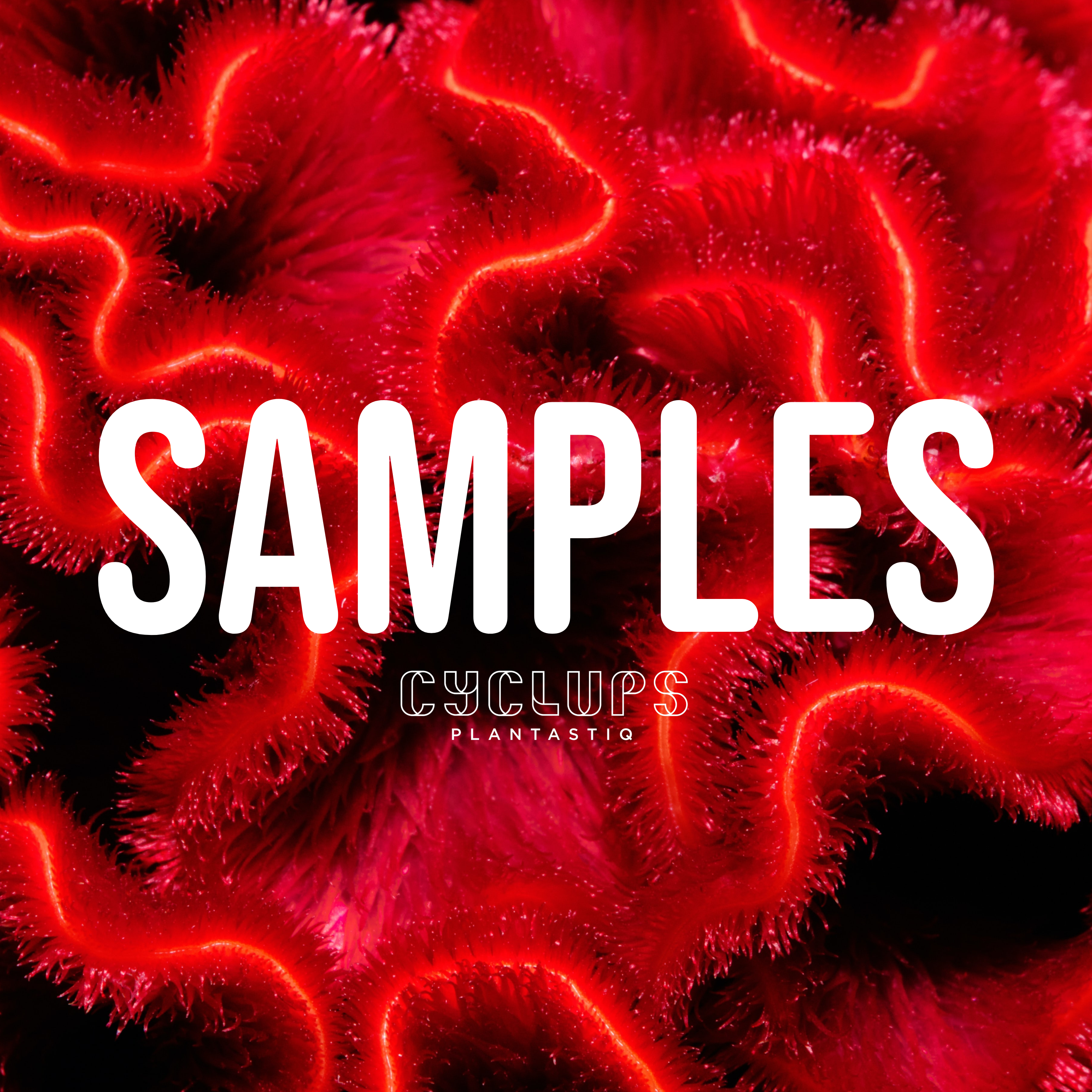 PLQ Premium Black SAMPLEBOX