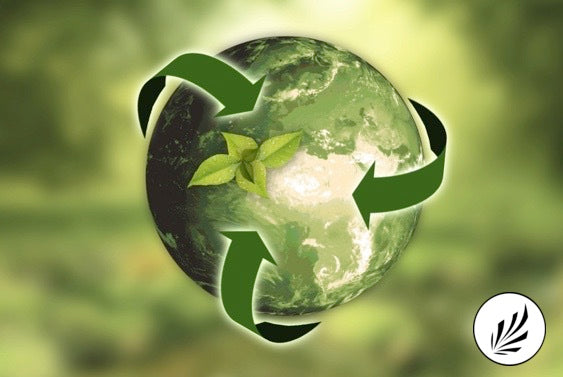 Circular_Economy_Zero_Waste_Living