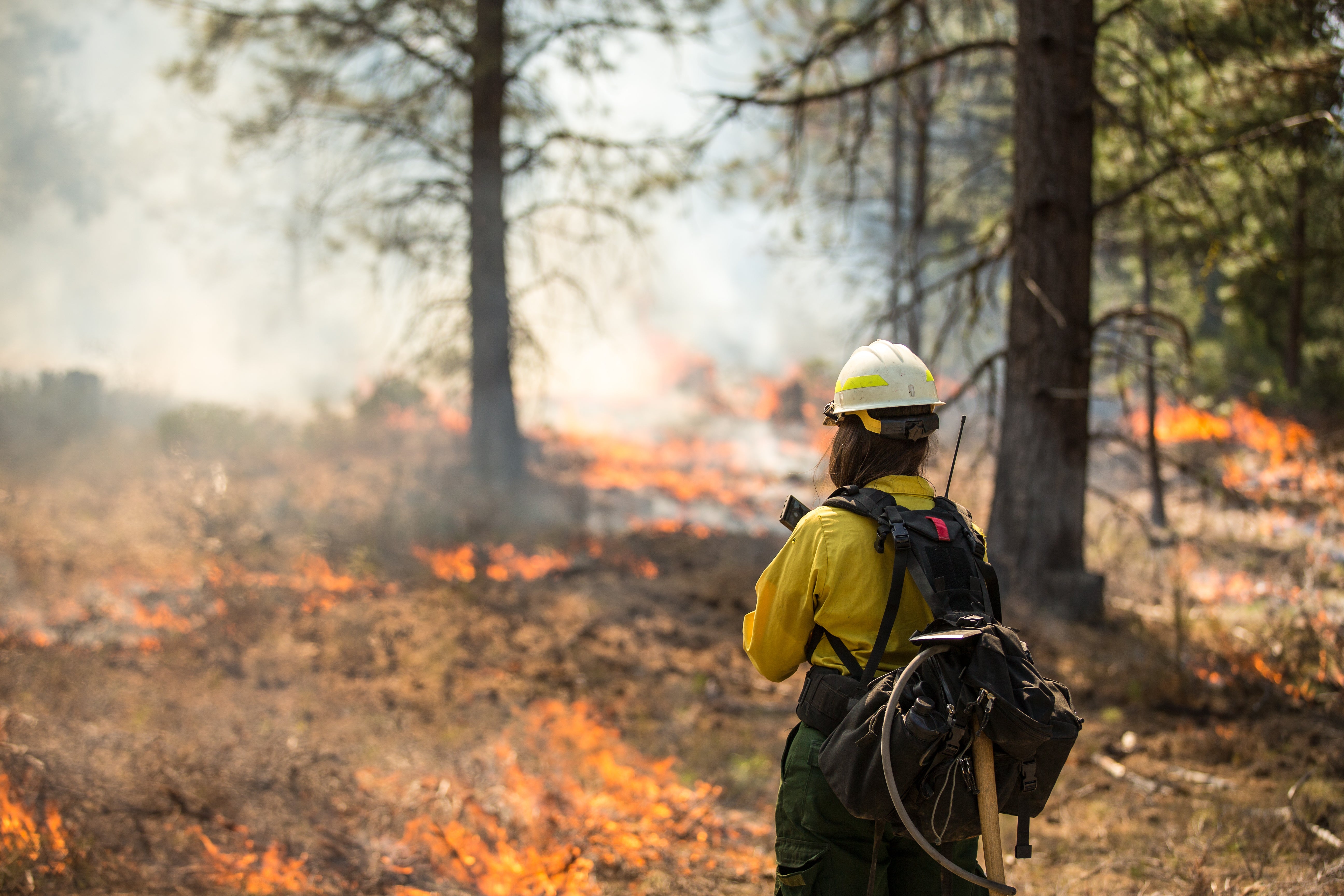 Wildfires-firefighter-climate-change