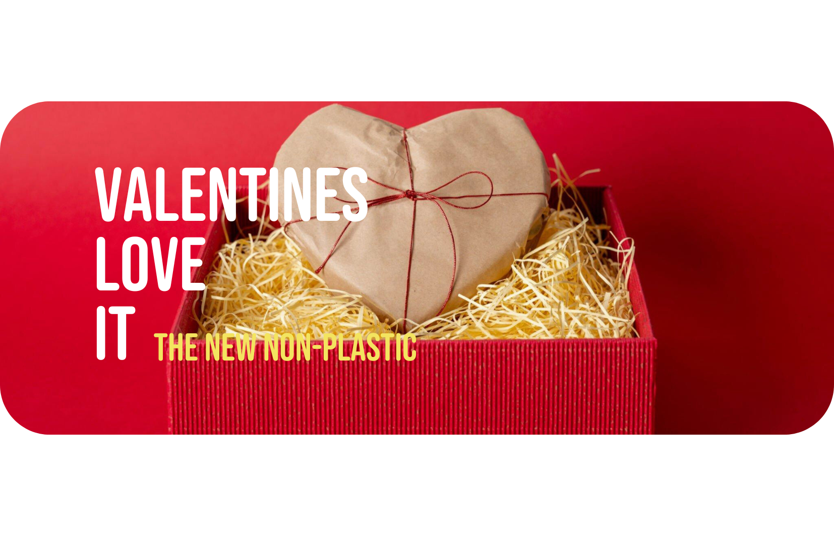 Sustainability in Love: Customer Stories of Choosing Eco-Friendly Valentine's Day
