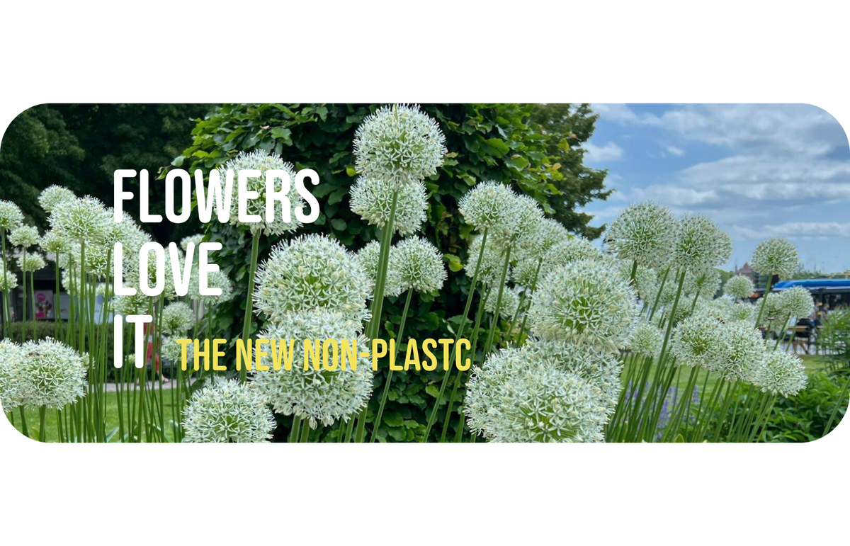 Capturing the Essence of Spring: A Visual Celebration of Nature's Rene