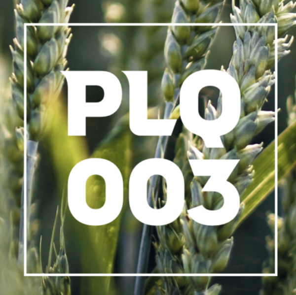 Plq Code PLQ